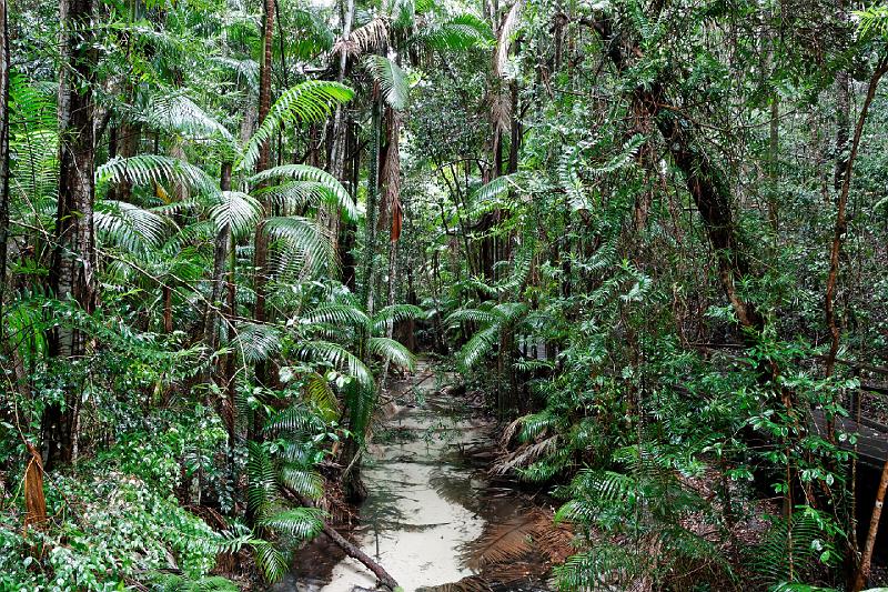 2007 05 14 Fraser Island 158_DXO.jpg